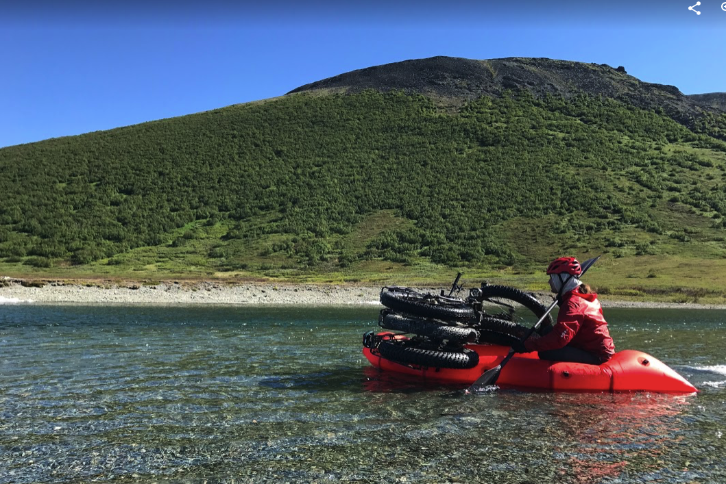 Иволга Удлиненная Иволга Удлиненная
