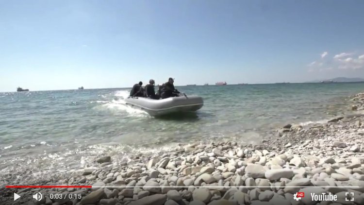 Ротан Р 520
